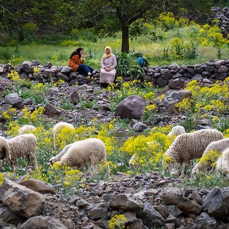 Toubkal Ecolodge Imlil  Luaran gambar