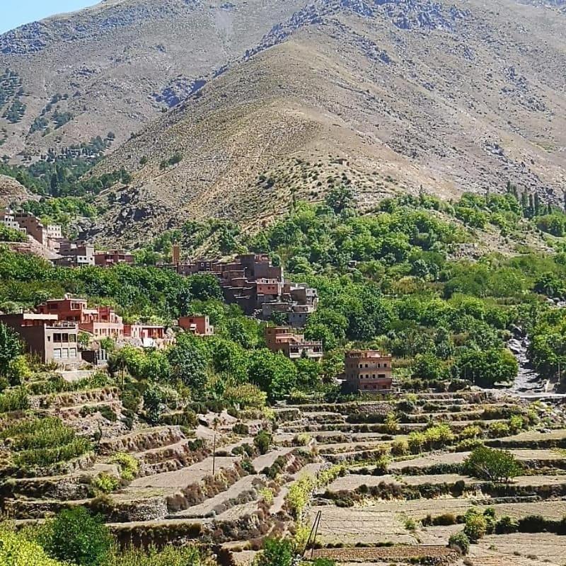 Toubkal Ecolodge Imlil  Luaran gambar