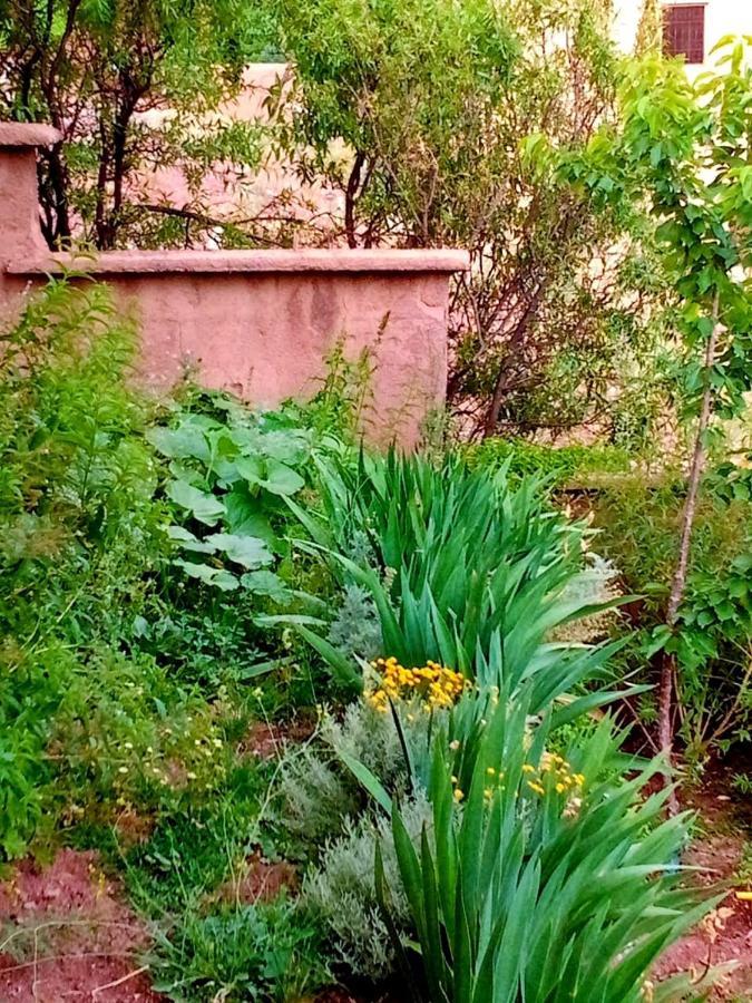 Toubkal Ecolodge Imlil  Luaran gambar
