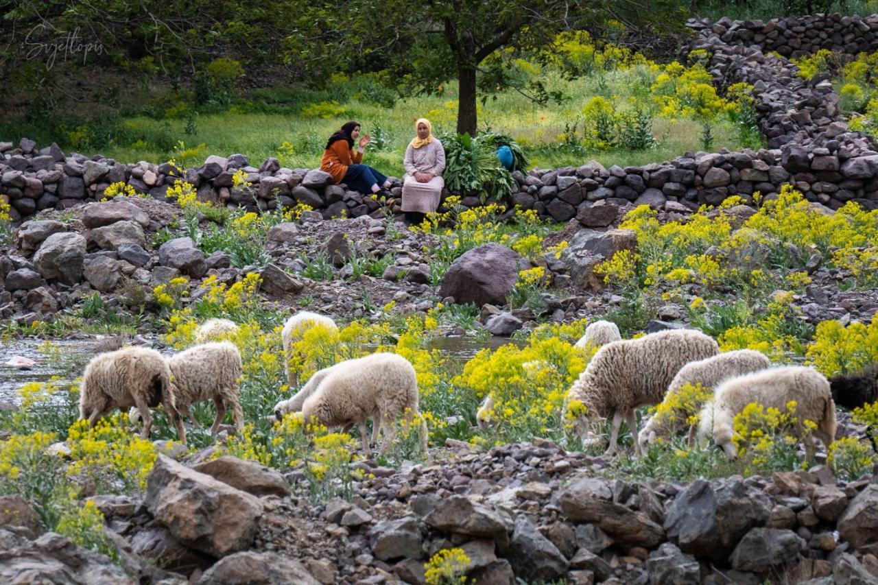 Toubkal Ecolodge Imlil  Luaran gambar